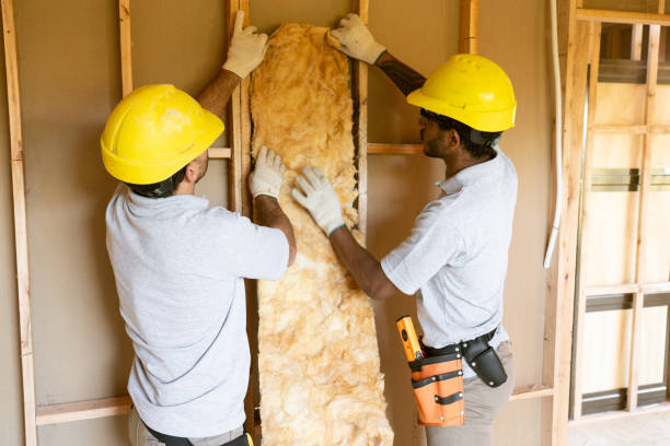 Insulation Contractors for Homes in Port Carbon, PA