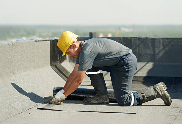 Best Insulation for New Construction  in Port Carbon, PA
