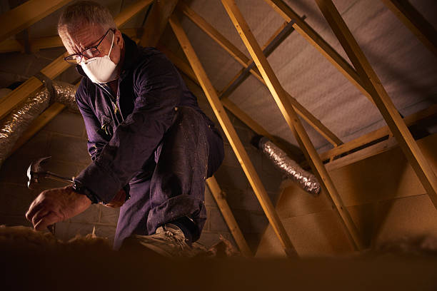 Attic Insulation Near Me in Port Carbon, PA
