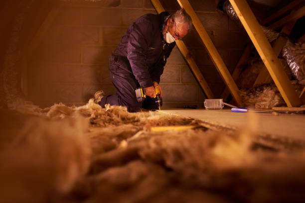 Best Cellulose Insulation  in Port Carbon, PA